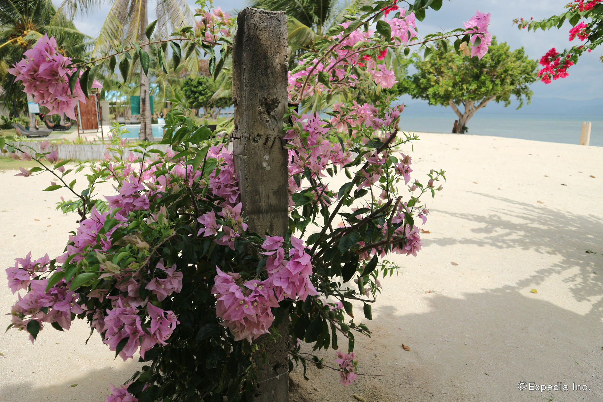 Dos Palmas Island Resort & Spa بويرتو برينسيسا المظهر الخارجي الصورة